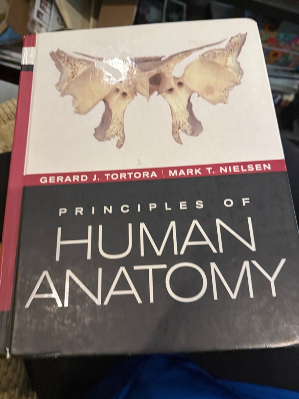 Principles of Human Anatomy - Gerard J. Tortora (anatomy textbook)